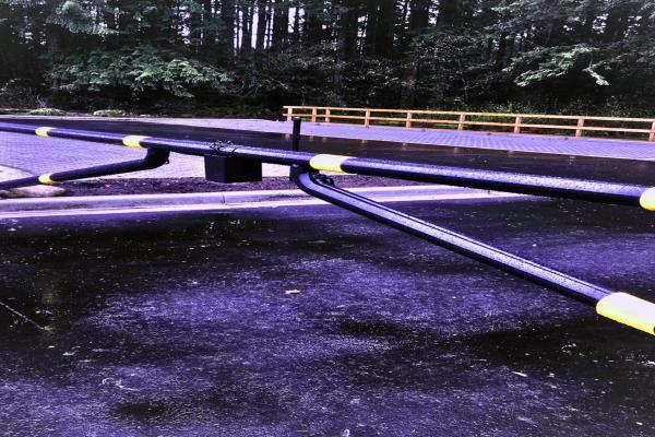 Picture3